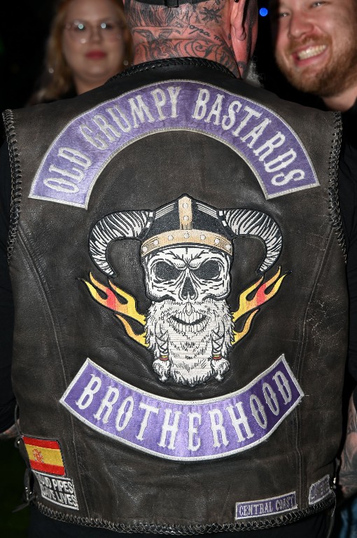 ../Images/Woodstock 2.0 2025 601.jpg